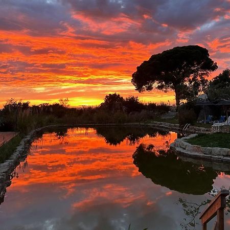 Oasis Camp Portugal Hotel Лагоа Екстериор снимка