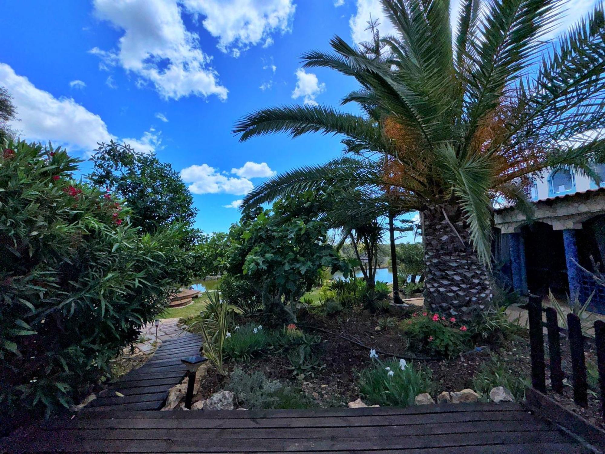 Oasis Camp Portugal Hotel Лагоа Екстериор снимка